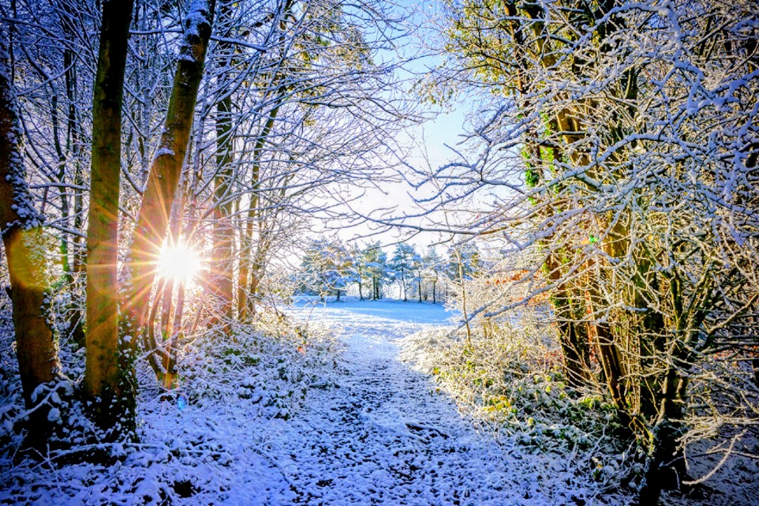 Christmas Individual Gun Day 2026 <strong>12th December 9am</strong>